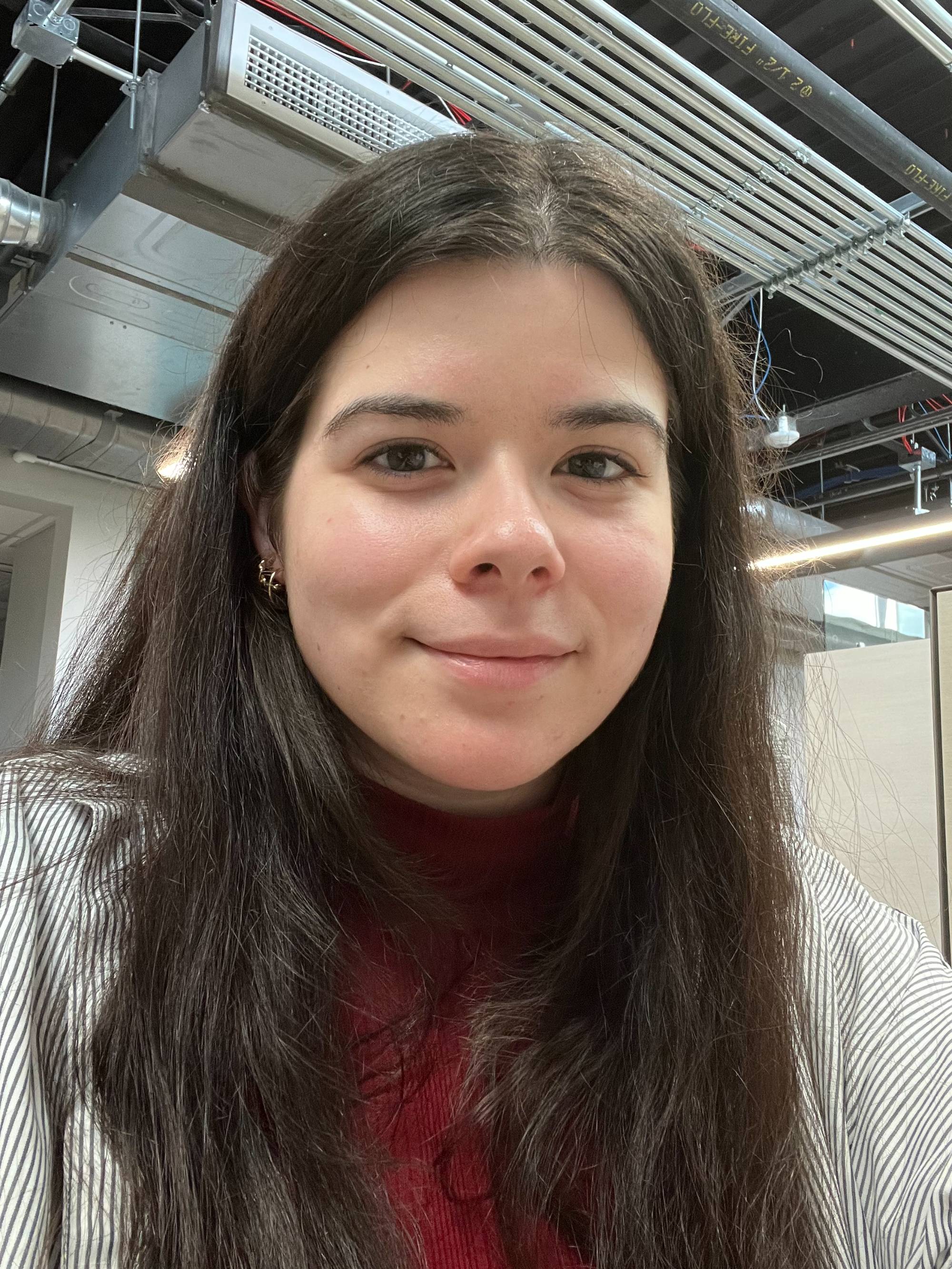 Photo of consultant Ari B.